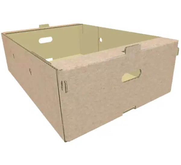 Fide ve Çiçek Kutusu