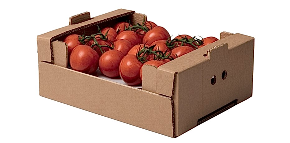 Yaş Sebze-Meyve Kutusu